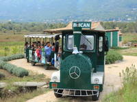 Erkunden Sie die Umgebung von Cavtat gemütlich bei einer Bahnfahrt