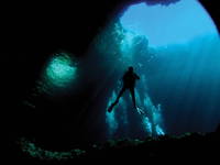 Insel Latovo - Tauchen