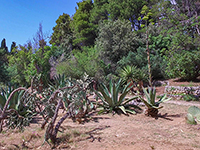 Botanischer Garten