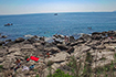 Felsplateaus, Hauptstrand Lokrum