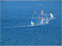 Orebic - Windsurfing