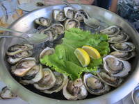 Mali Ston - Austernzucht