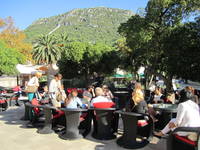 Restaurants und Cafes in Ston