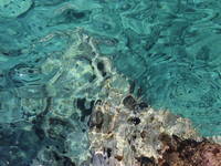 Trsteno - Glasklares Meer