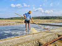 Salinen von Secovlje