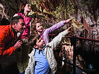 Besuch Familie, Postojna