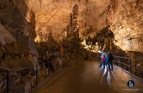 Besichtigung, Postojna