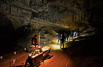 Ausstellung Höhlenbär