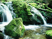 Fluss Skocjanske Jame