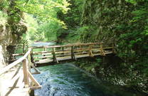 Holzsteg - Vintgar Klamm