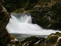 Vintgar Klamm - Natur