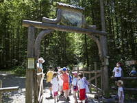 Märchenwald - Logar Tal