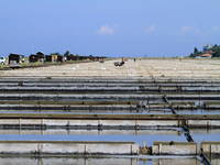 Landschaftspark Secovlje - Bereich Lera