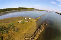 Schwäne - Fontanigge