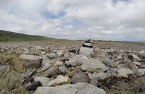 Secovlje - Kleiner Vogel