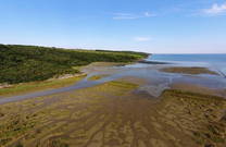 Mündung Fluss Dragonja