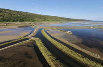 Fontanigge - Secolvje