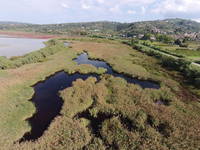 Landschaftspark Sevovlje - Pflanzen