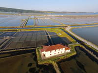 Souvenirshop - Landschaftspark Secovjle Salina