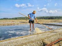 Landschaftspark Secovlje