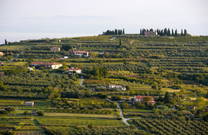 Strunjan - Landschaft