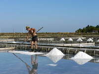Landschaftspark Strunjan - Salinen