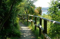 Landschaftspark Strunjan - Wanderpfad