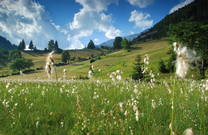 Landschaftspark Topla