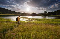 Naturpark Radensko polje