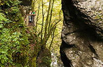 Tolminer Klammen - Bärenkopf