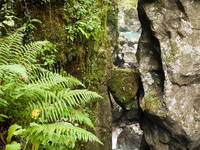 Bärenkopf - Tolminer Schlucht