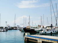 Marina Koper, Slowenien