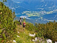 Wandern Bohinj