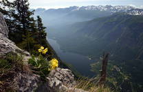 Talblick, Bohinjer See