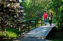 Spaziergang Volcji Potok