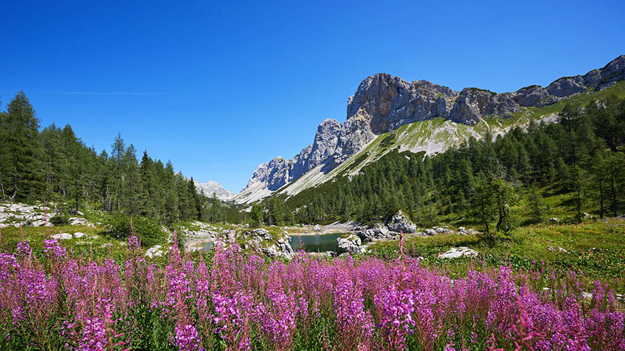 Tal der Triglav Seen - Doppelsee