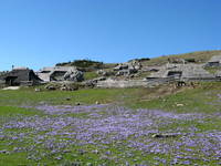 Velika planina - Almwiese