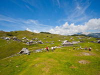 Velika Planina - Wandertour