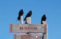 Wegweiser Velika Planina