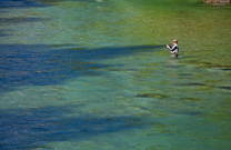 Sava Dolinka, Angler