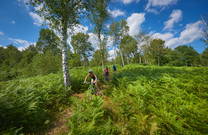 Drasici, Moutainbiketour