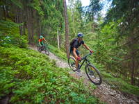 Singletrailpark Jamnica