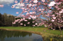 Loch 9, Golfplatz Bled