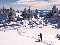 Schneewandern, Winterwandern