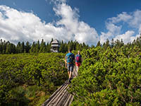 Spazier-/Wanderweg Lovrenska See