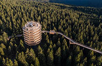 Baumwipfelpfad Rogla