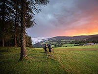Wandern Rogla Pohorje