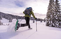 Pokljuka, Schneewandern