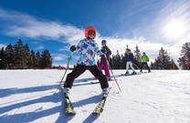 Skischule, Slowenien