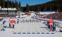 Biathlon Weltcup Pokljuka, Slowenien